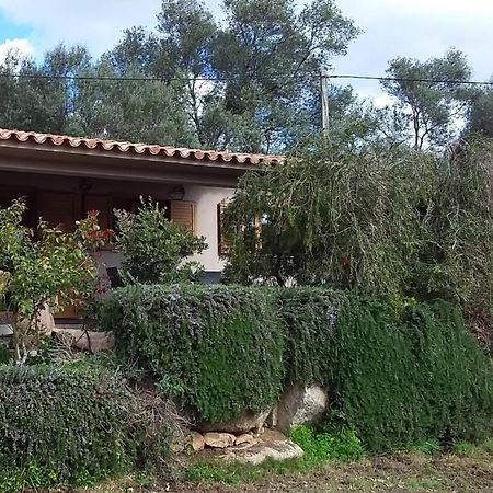 Casa-Lesia Villa Porto-Vecchio  Buitenkant foto